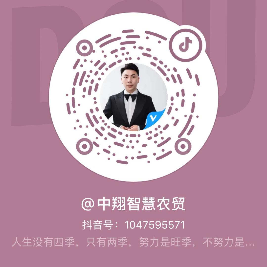 中翔智嘟