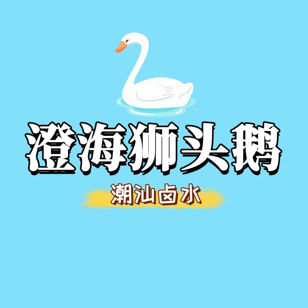 日日鲜狮头鹅（努力版）