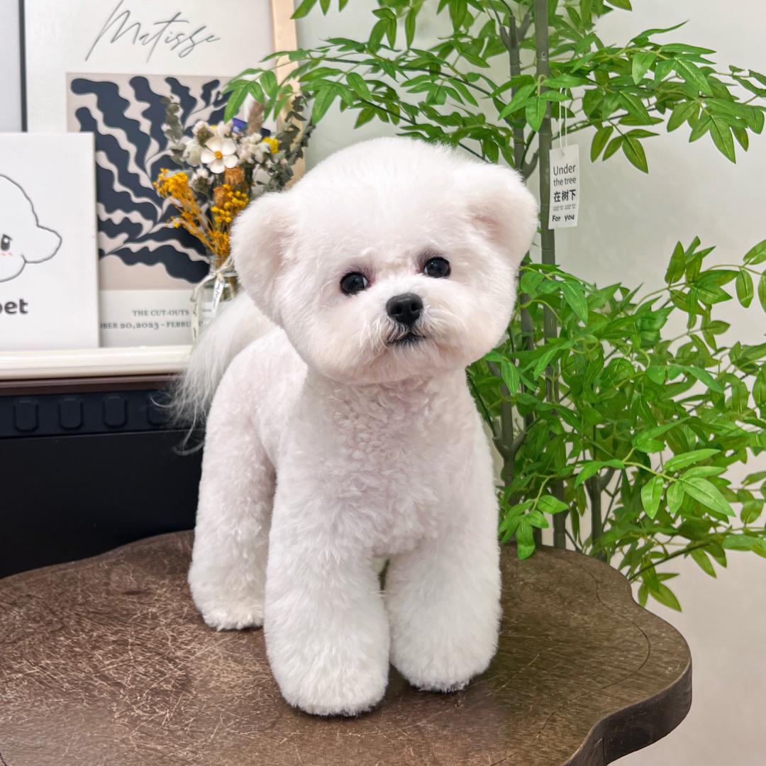 🌈Joey是个小妹妹