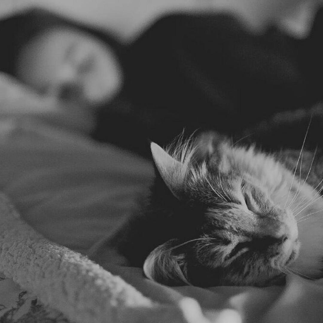 想要闪光宝石海星