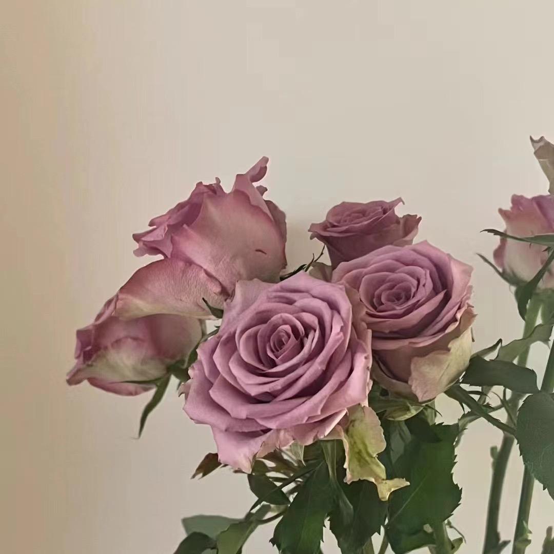 南希爱美食首播第一天