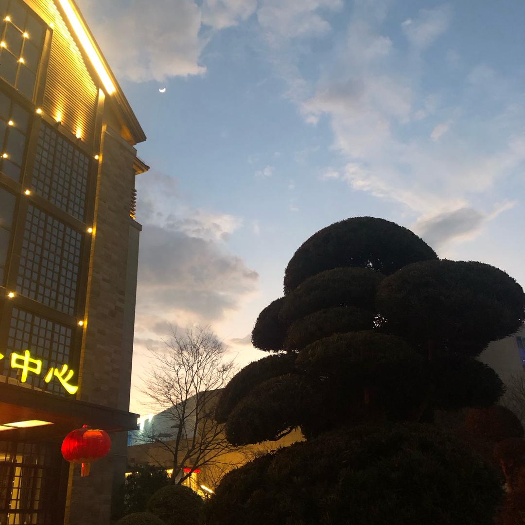 李   不管