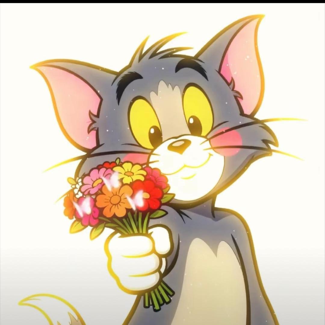 站在山顶上的青蛙🐸