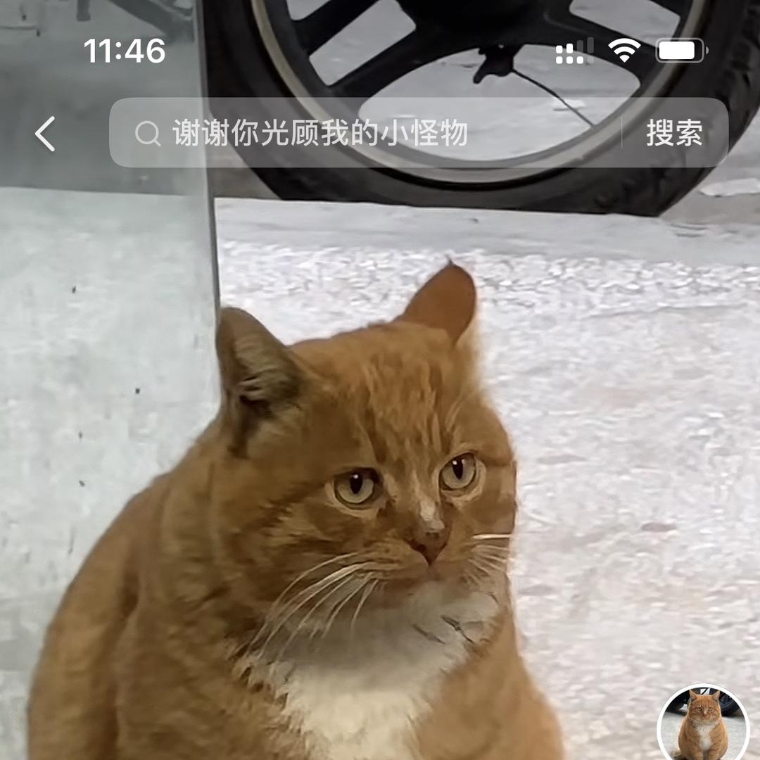 工厂直销———张百网店