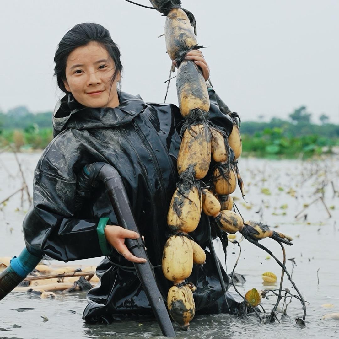杨儿杨