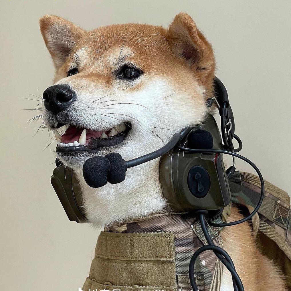 乾通厨卫，厂家直销