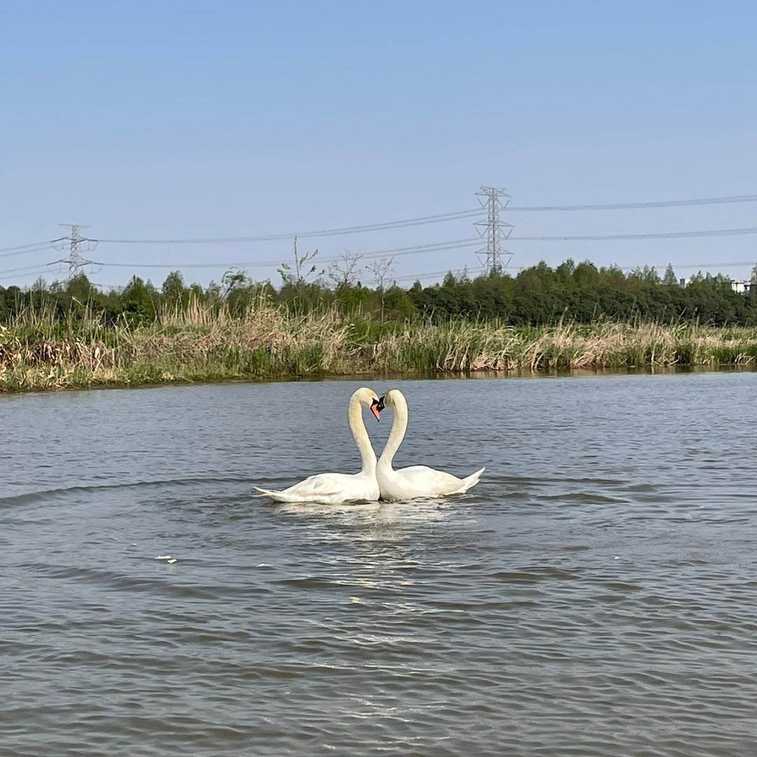 慈溪市隆达货车（我爱罗）