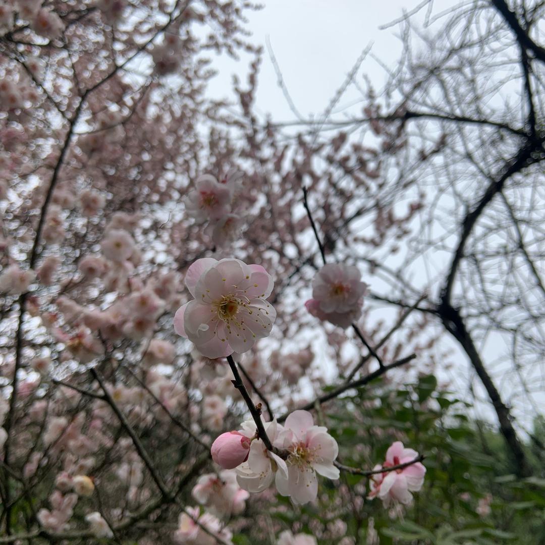 飘飘然然