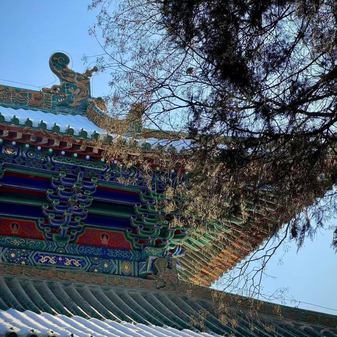 添河师兄☯️