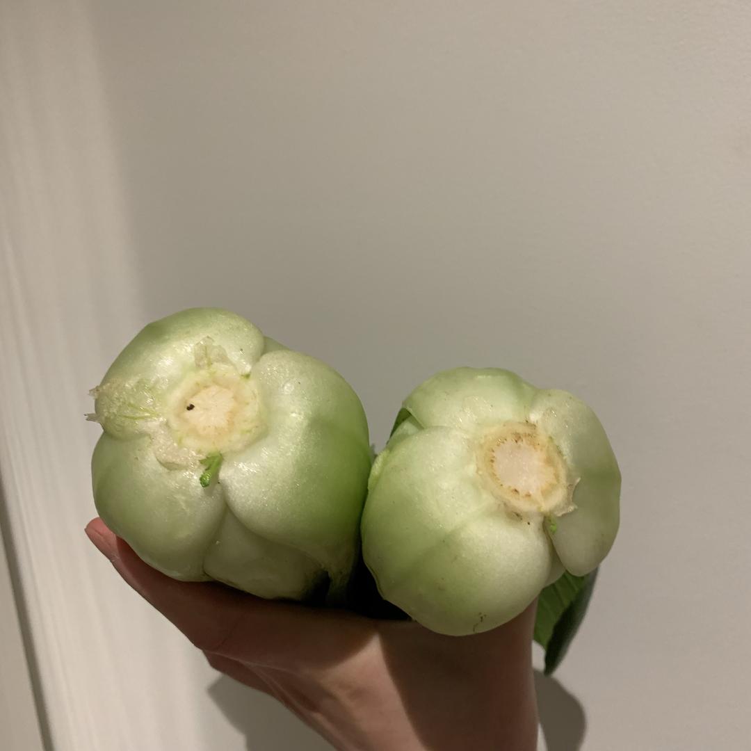 我是上海青
