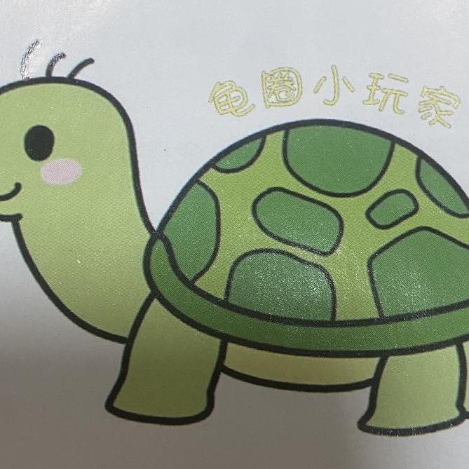 龟圈小玩家(收退坑龟)