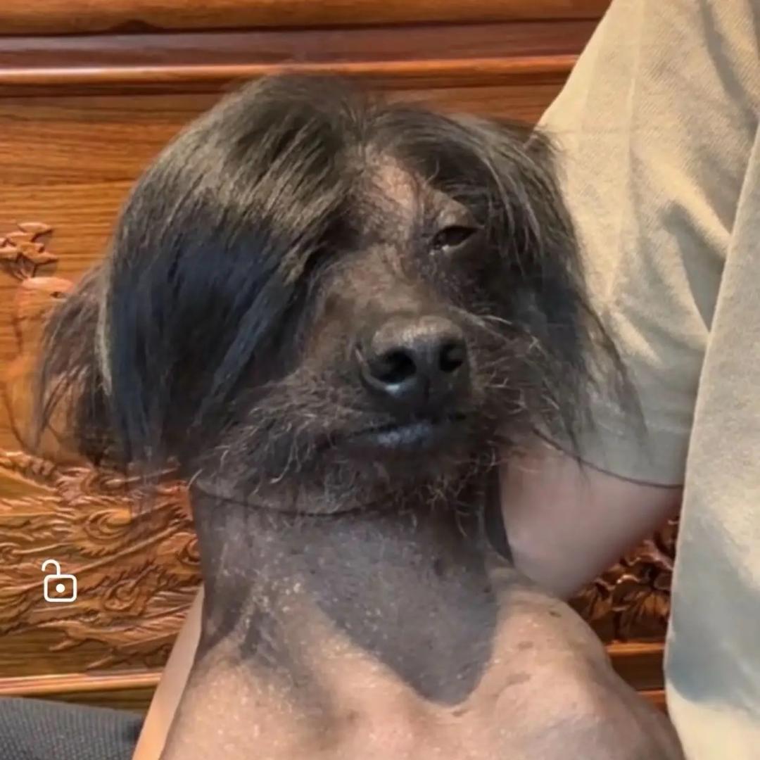 孟孟不做°梦^