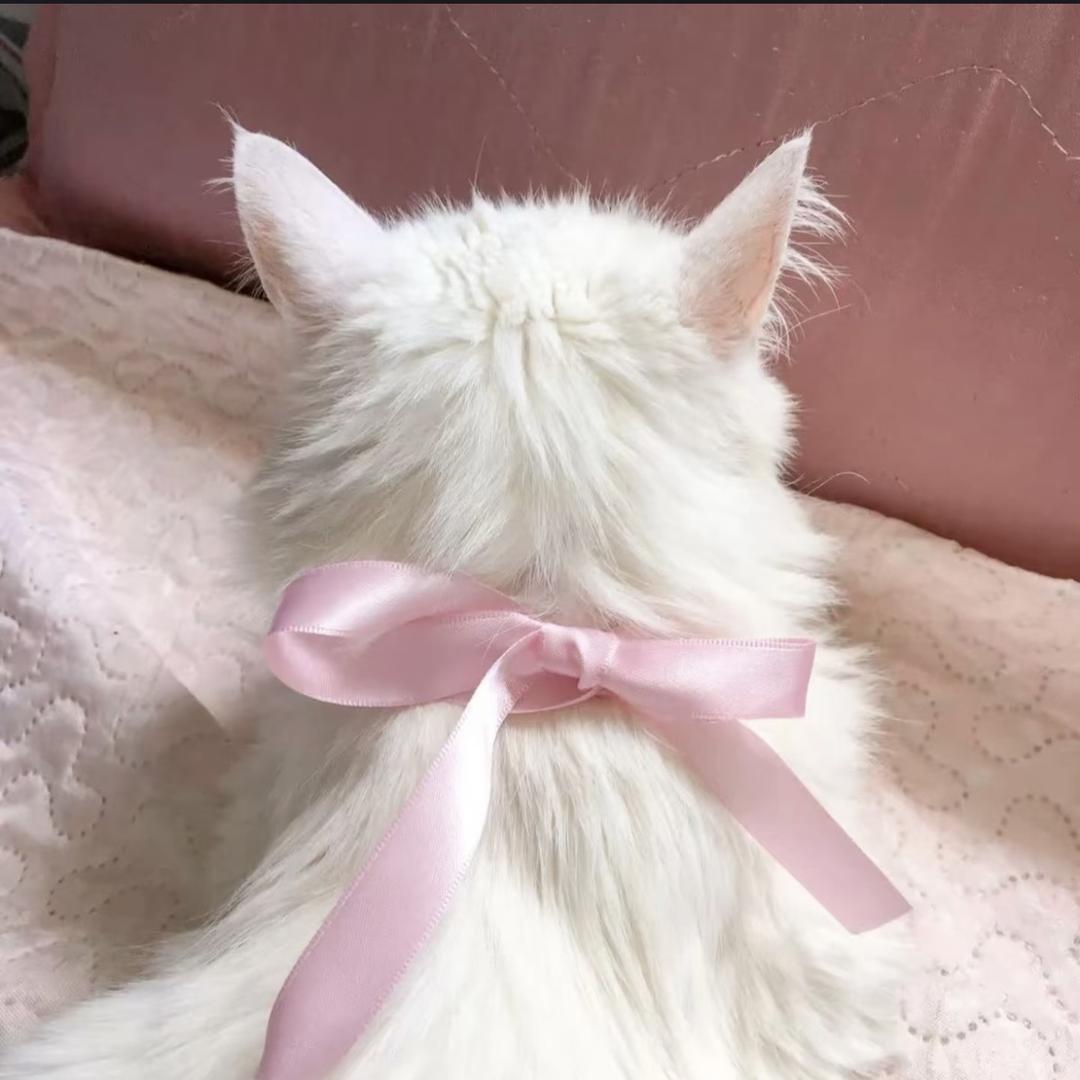Zzzz1
