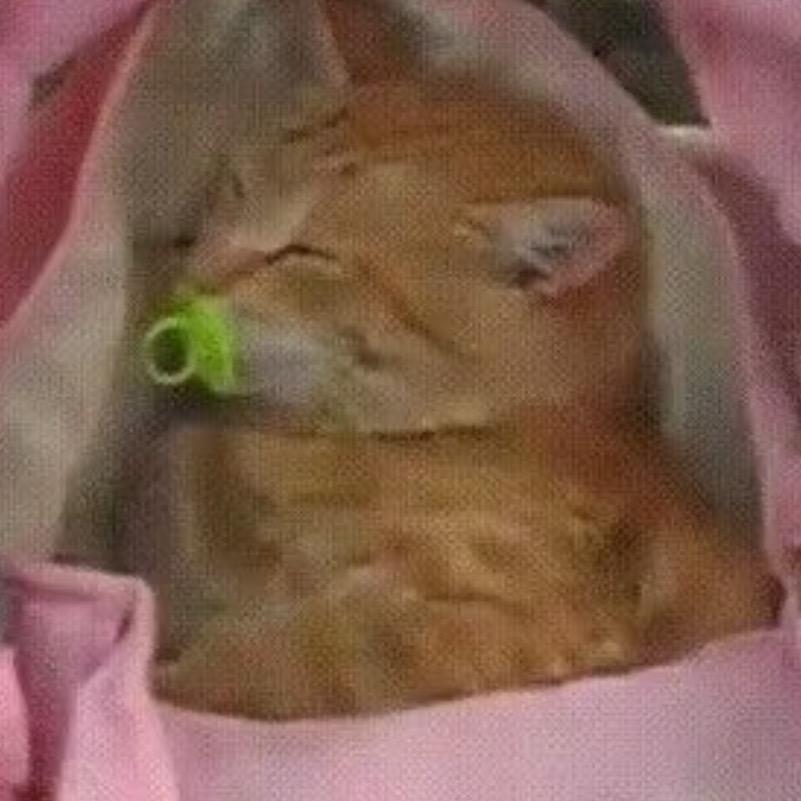 一
