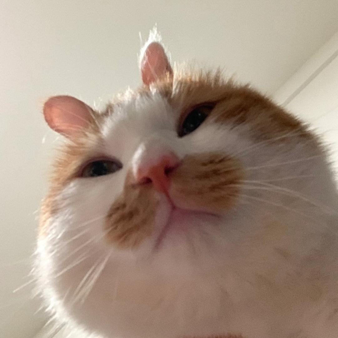 吃薯条不蘸番茄酱