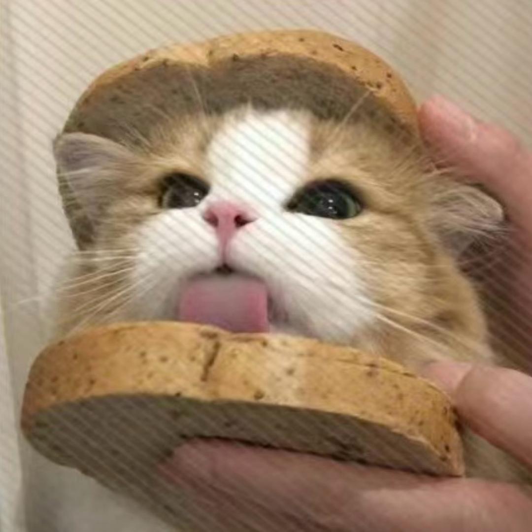 肯豆