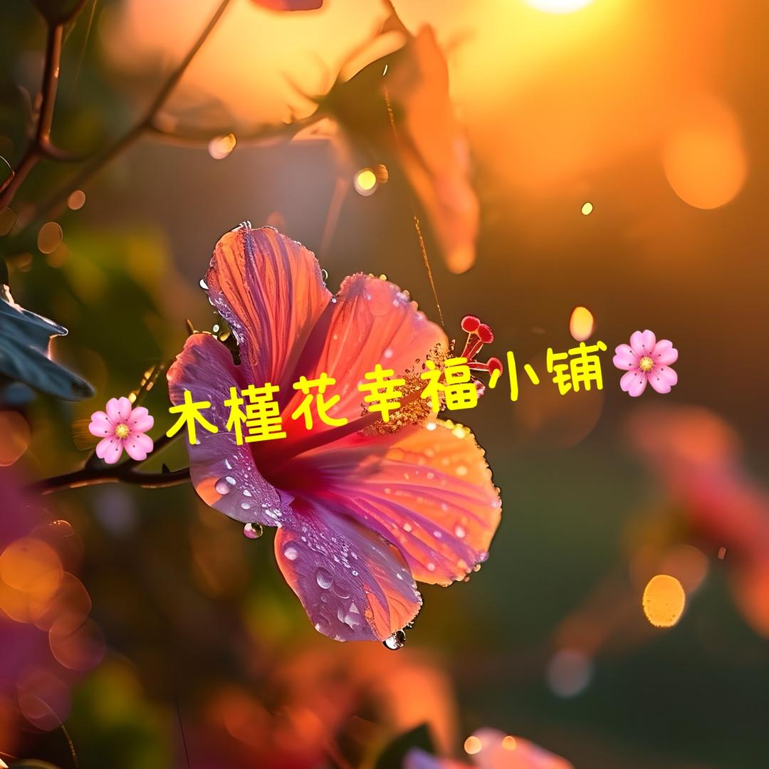 木槿花幸福小铺