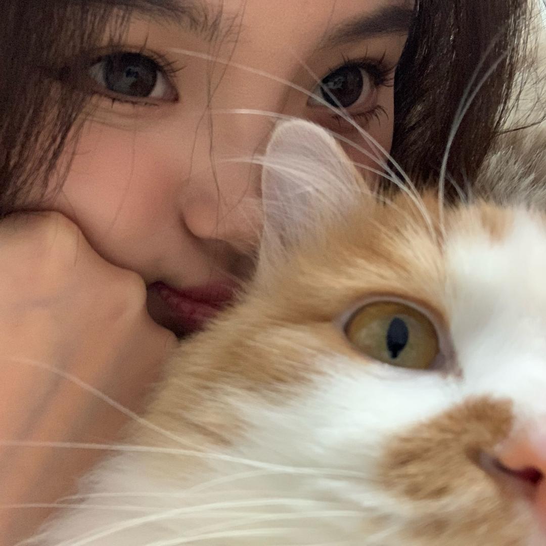 奇妙音音（见过十个勤天两次版）