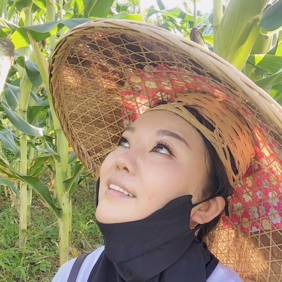 阿拉阿妮（晚上播）