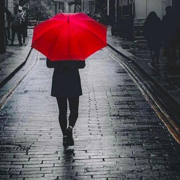 鑫鑫䢈