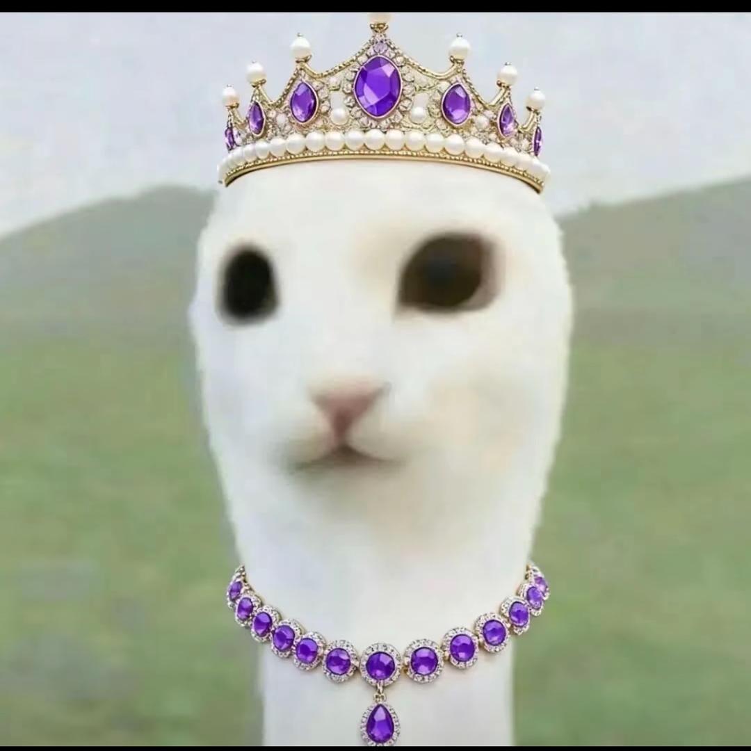 7件事