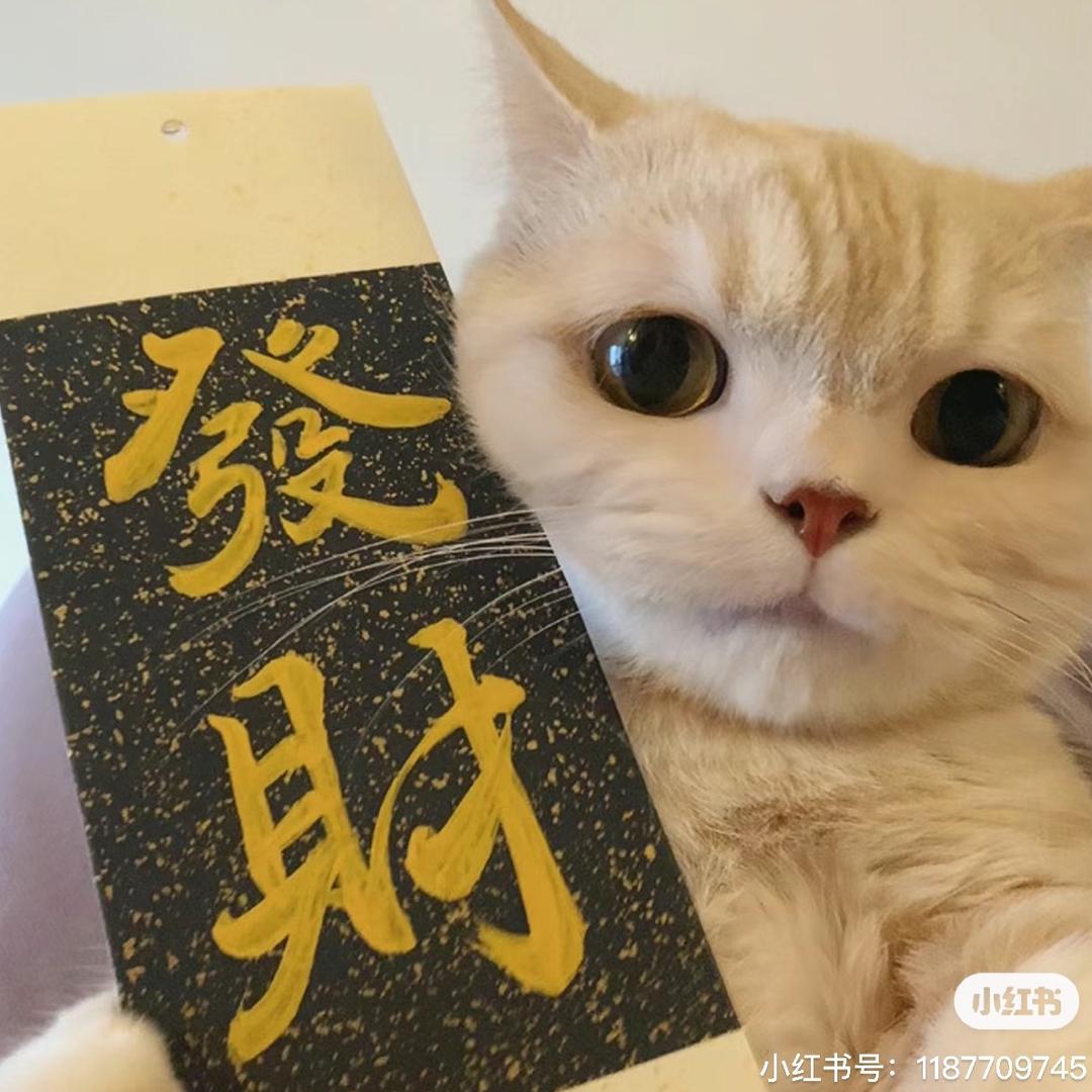 搬砖🧱