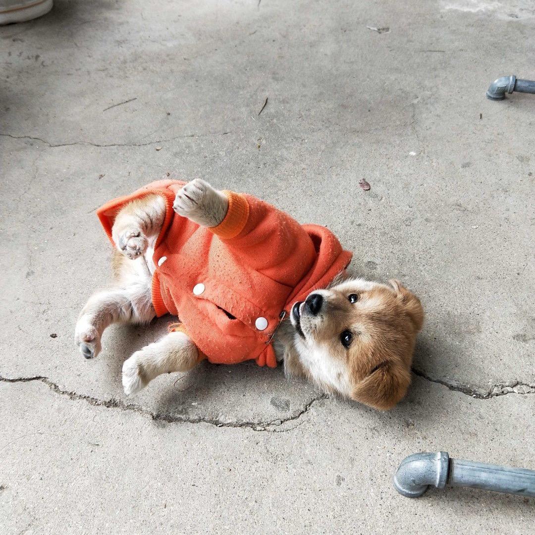 励