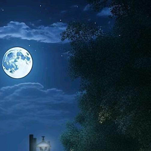 星空短剧