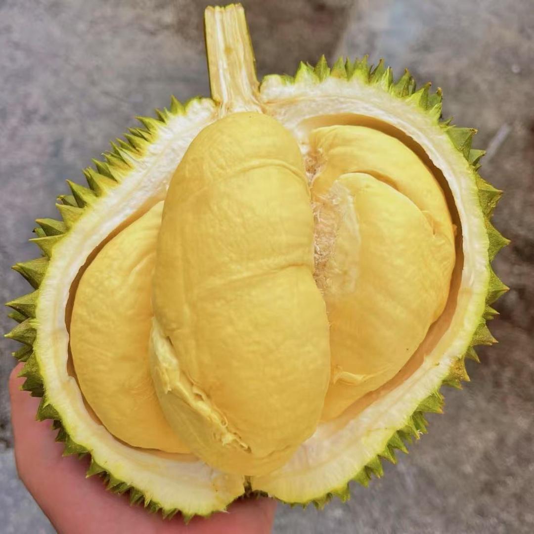 梦琪超市嘉兴代发