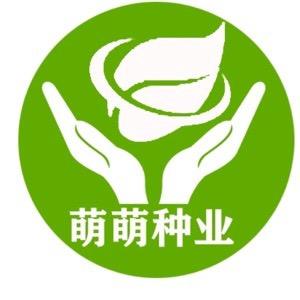 Mmseed001