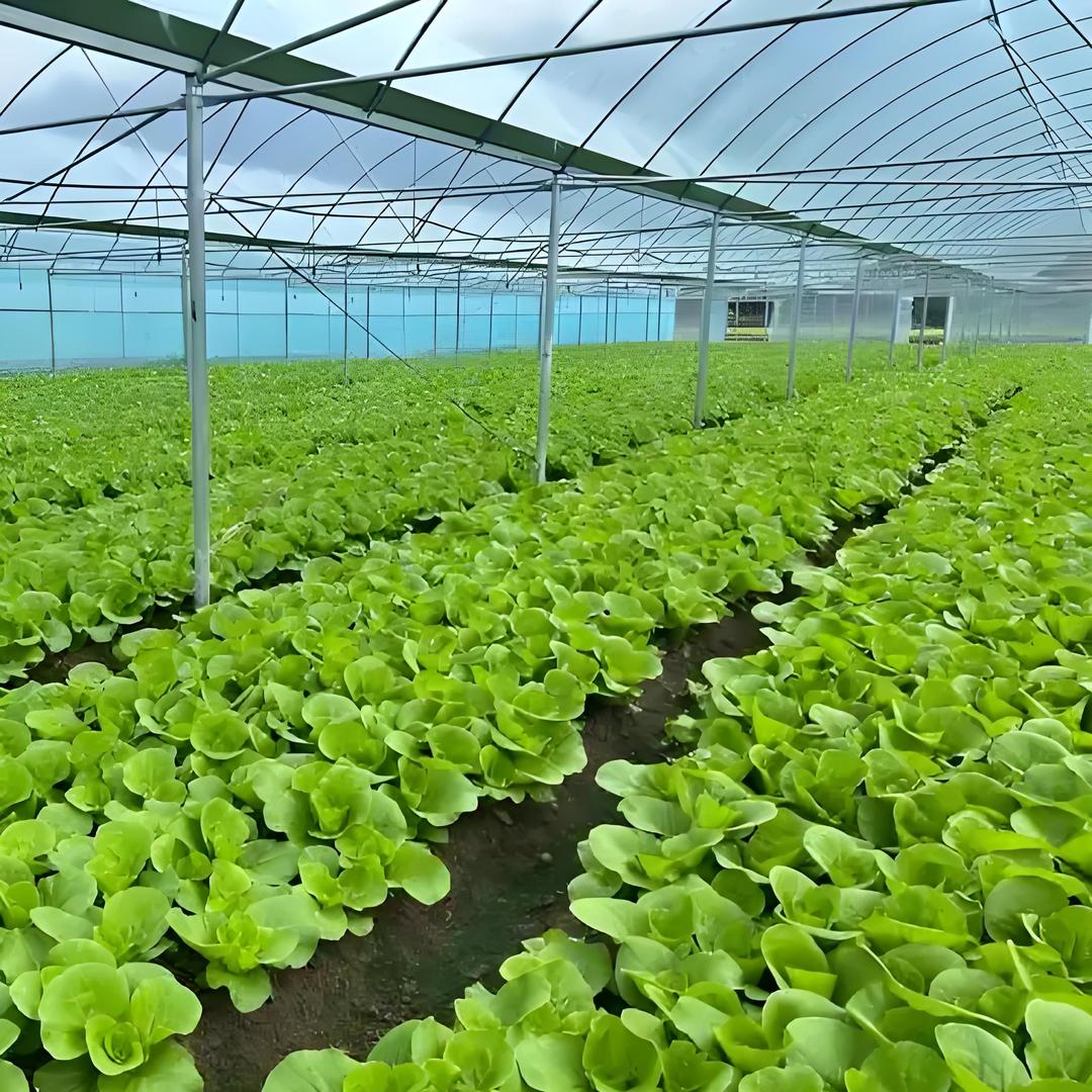 顺鑫农品生态园