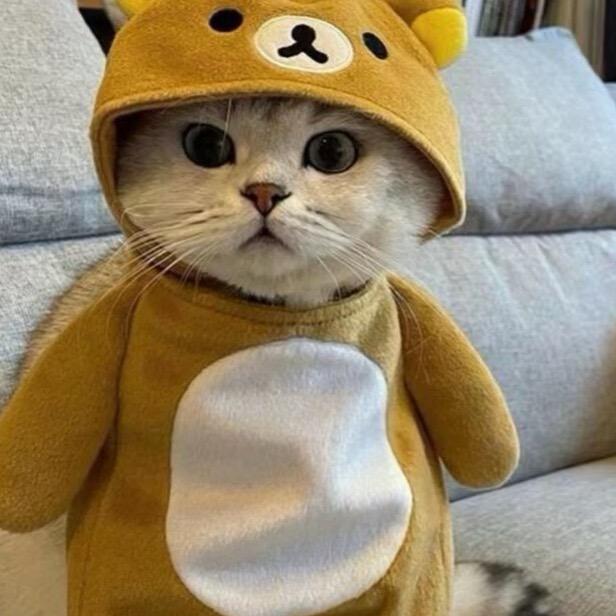 小柽