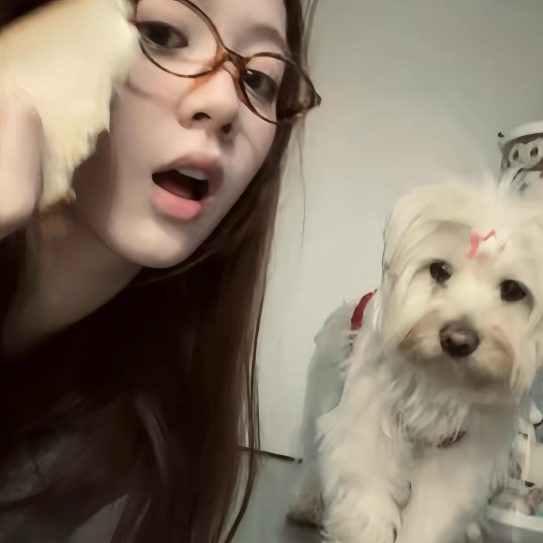 可爱腼腆小猫咪