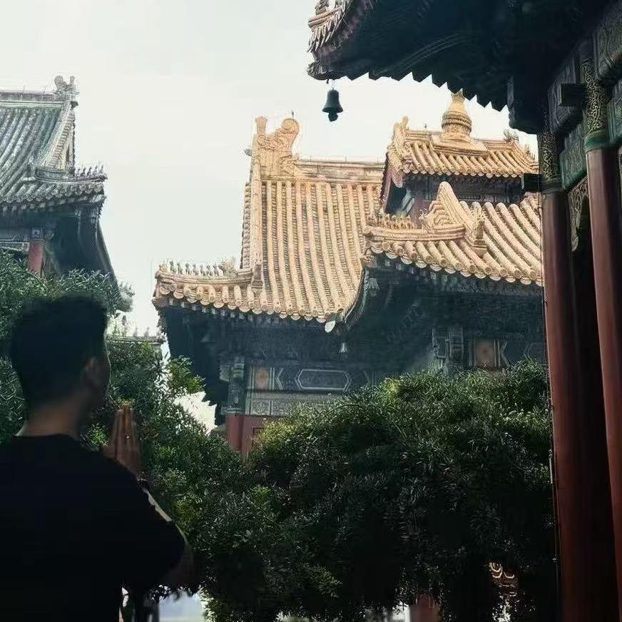 我爱我爱动物医院（安外大街）