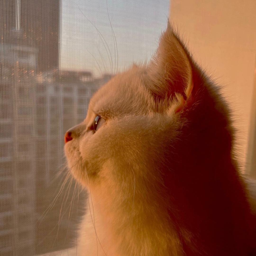 晴天☀️快乐
