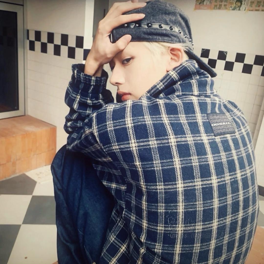 丹丹.