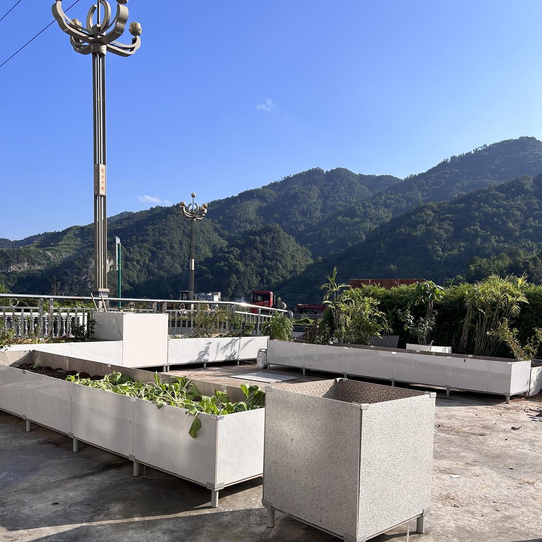 晓锋同学小菜园
