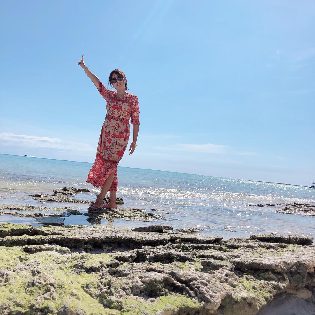 cindy🐳海豚