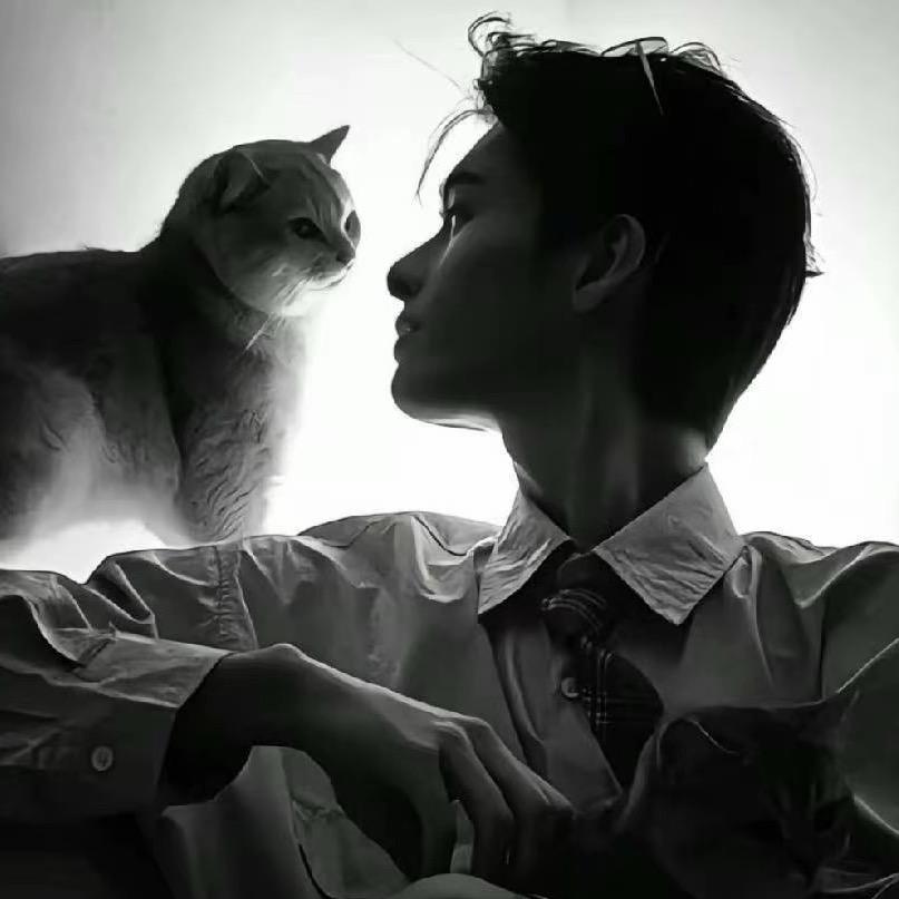 Lㅤㅤ