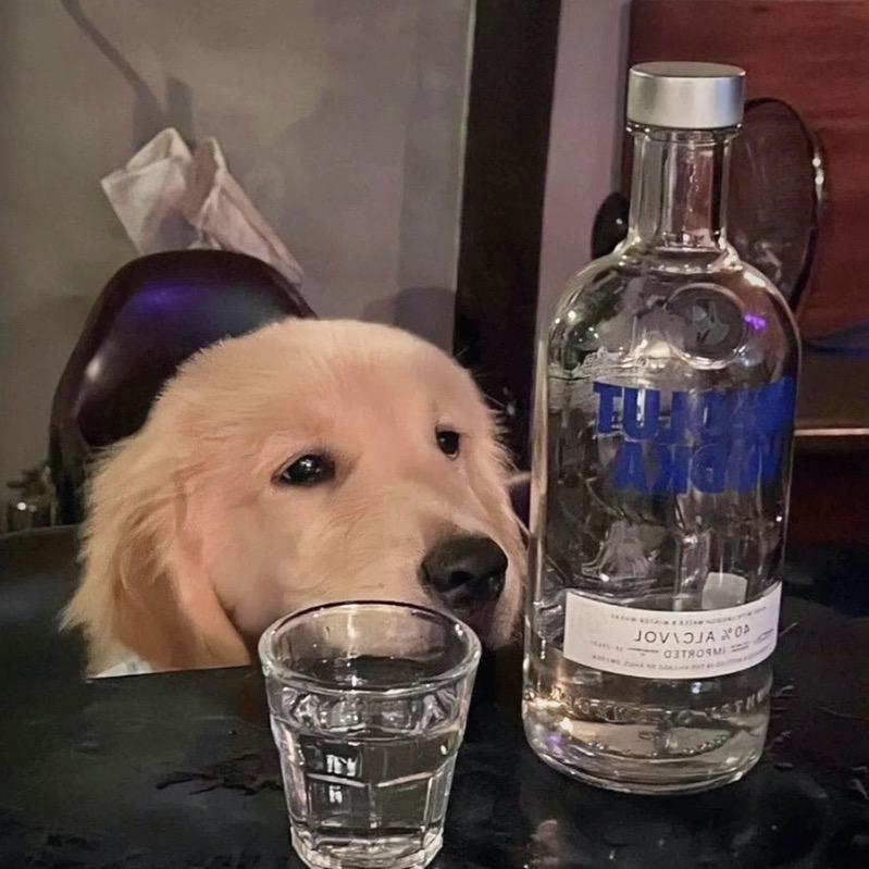 重生来到玩冒险岛