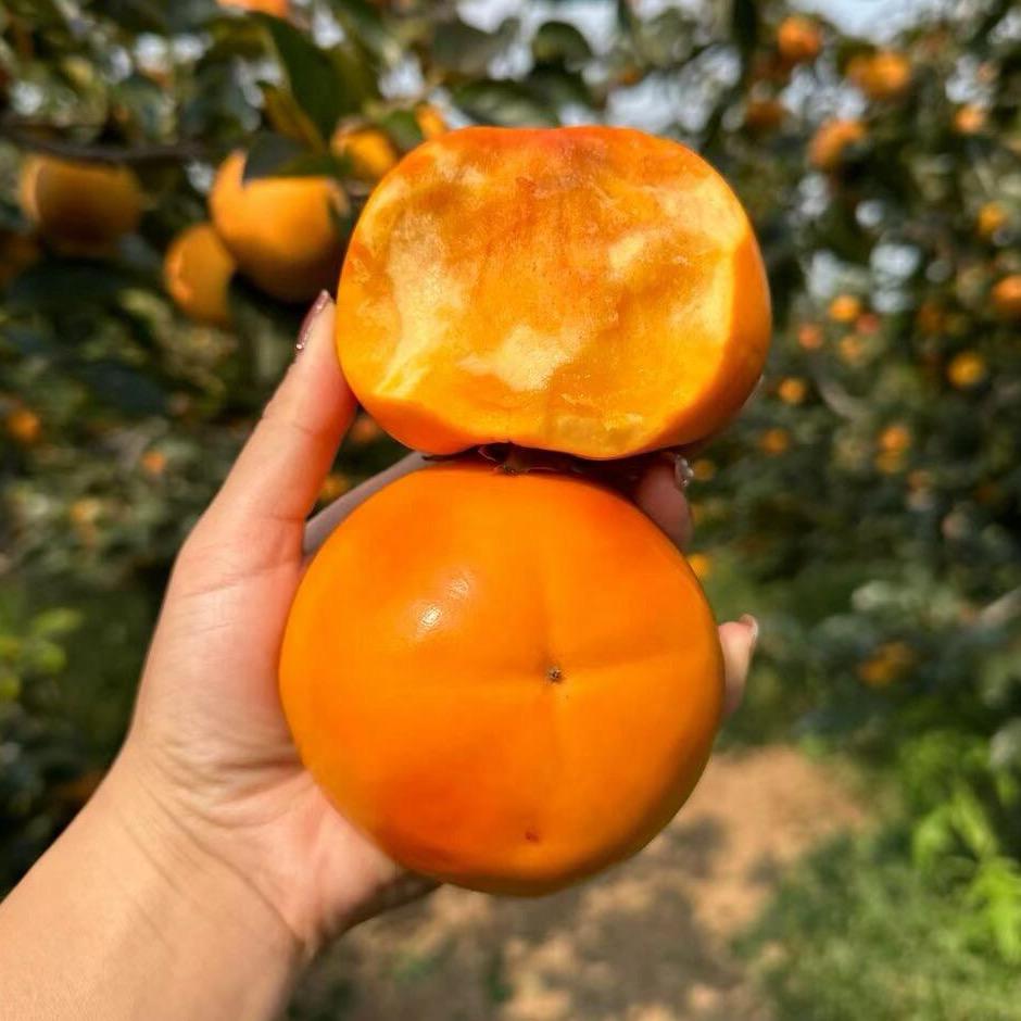 静静爱吃果