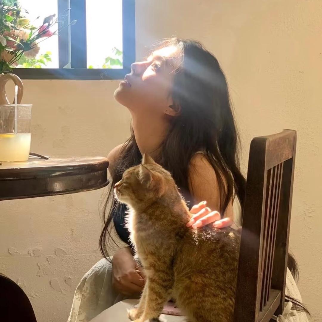 好运锦毛鼠✨