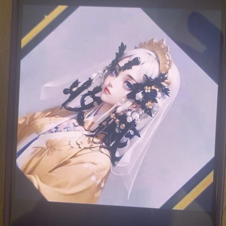 小宝h