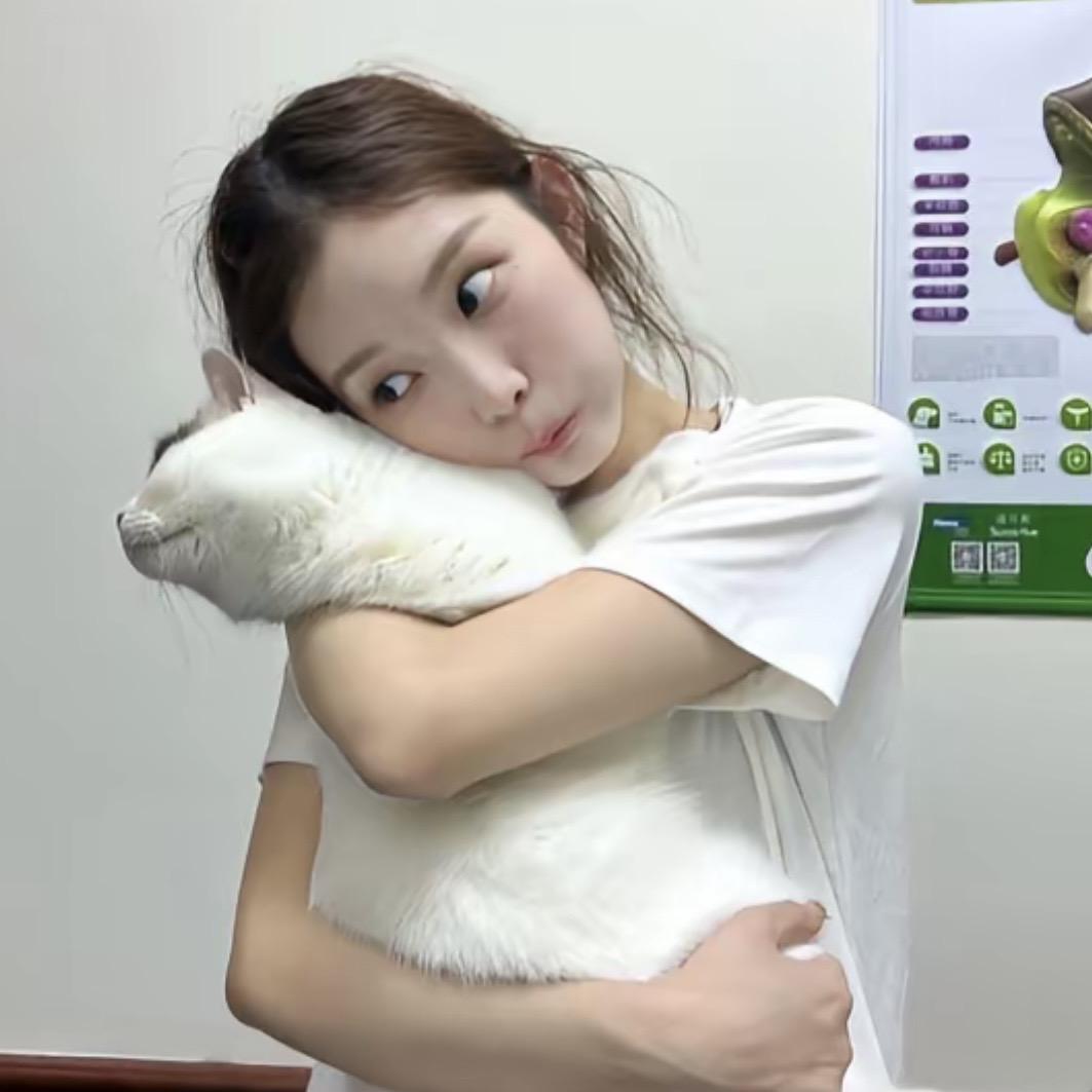 汉堡🍔