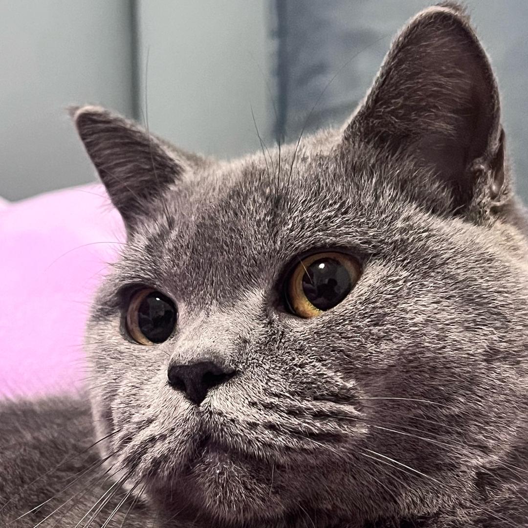 小阳偷偷跑遍世界