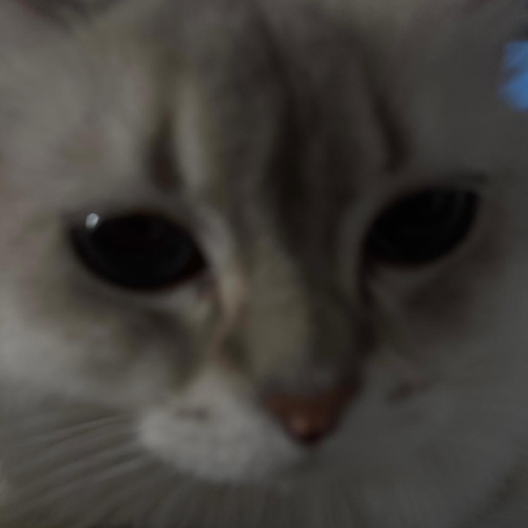 散.