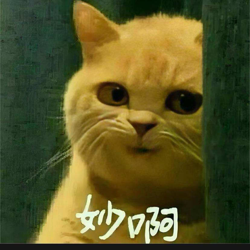 大饼博士头像