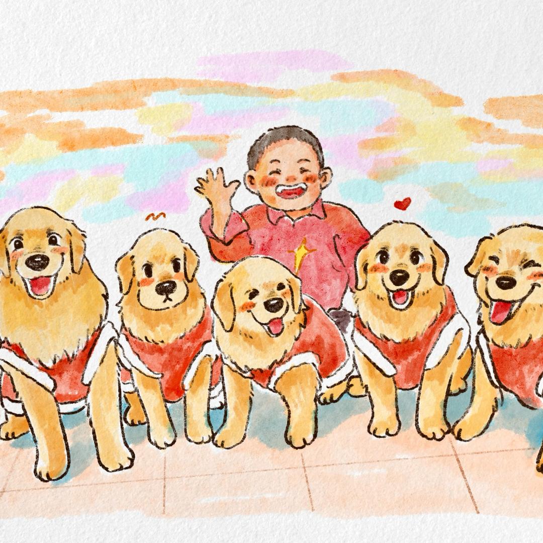 金逗宝贝