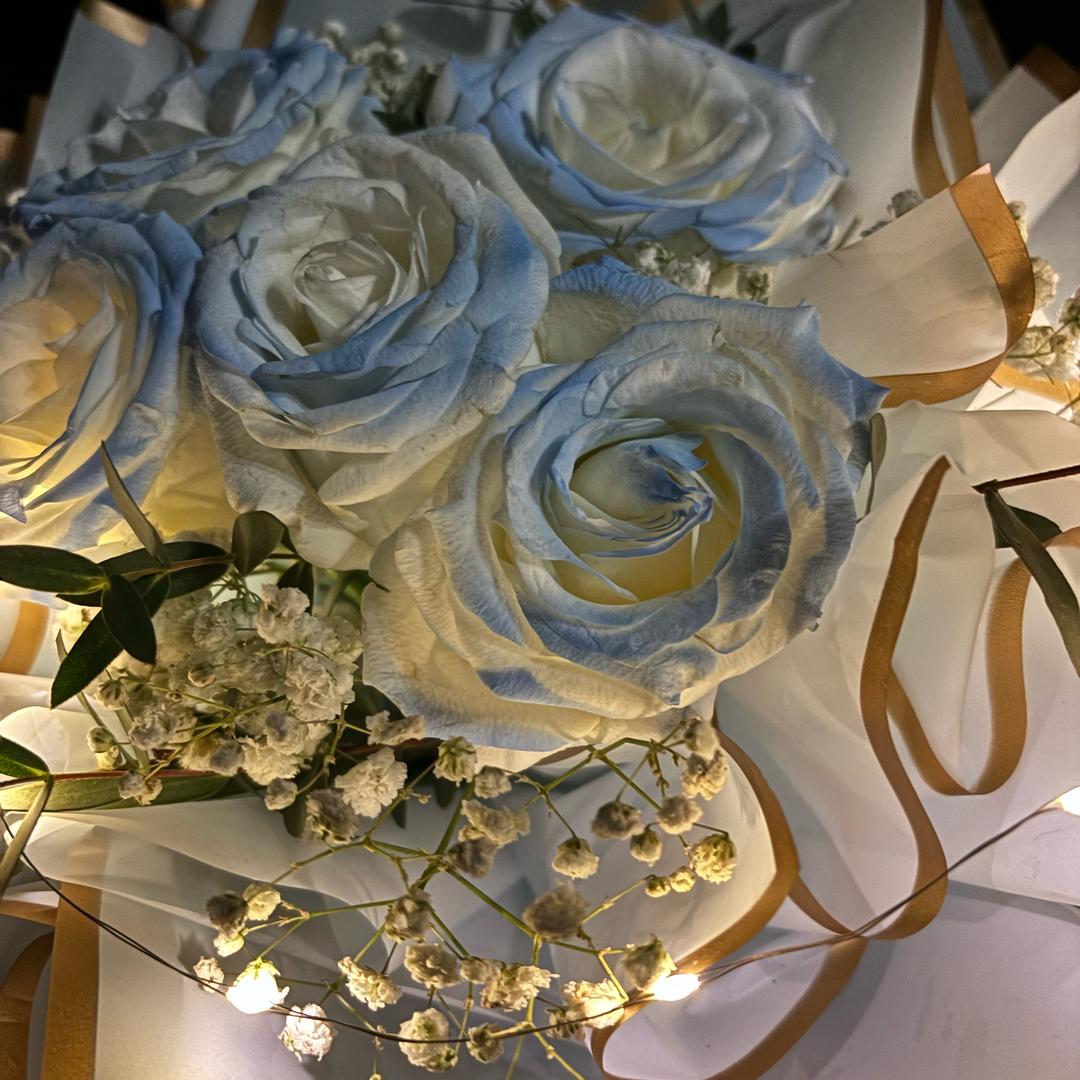 🌻🌻🌻🌻🌻🌻🌻