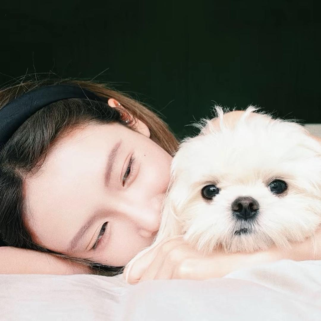 棠棠小人儿